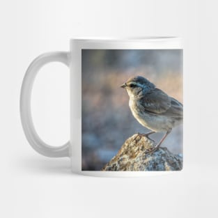 Juvenile Black Throated Sparrow Mug